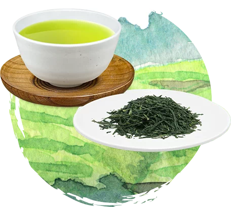 ALL ABOUT GREEN TEA