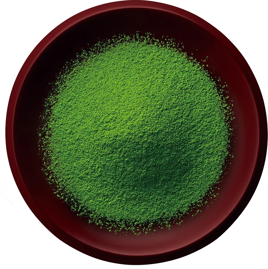 WHAT IS MATCHA?