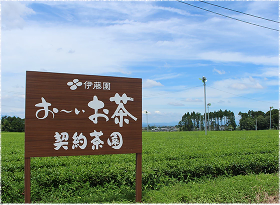 THE TEA-PRODUCING REGION DEVELOPMENT PROJECT